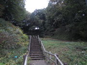 ܂Ȃ̓̃VJVт̓eʐ^1