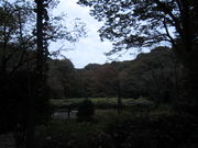 ܂Ȃ̓̃VJVт̓eʐ^2