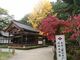 菊ちゃんさんの武田神社への投稿写真4