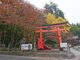 菊ちゃんさんの金桜神社の投稿写真1