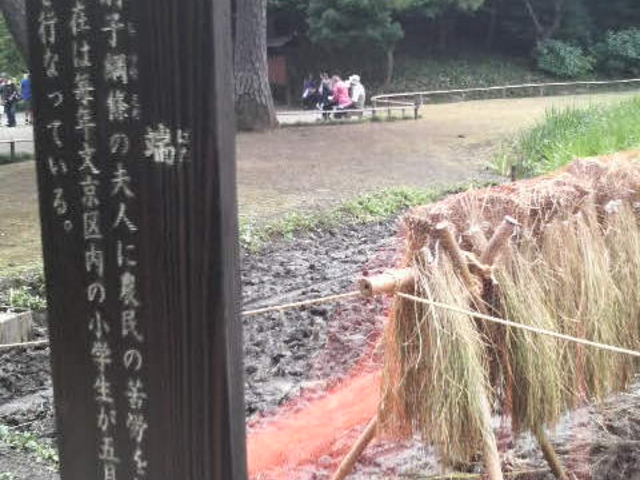 _ۂ͋Cŕ܂_c[iΐyj