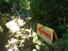 ^񂳂̎񗢋钬̑AJMւ̓eʐ^1