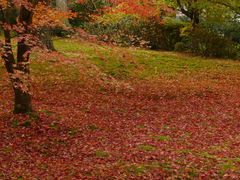 �O��@�̎ʐ^3