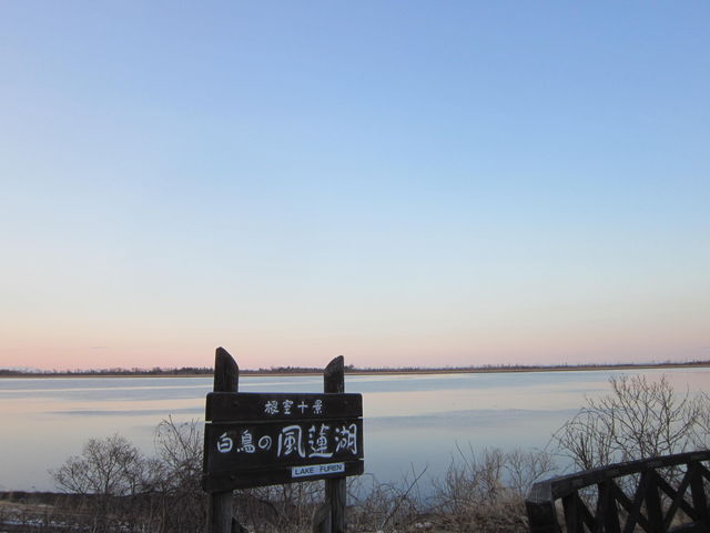 ���A�ΊŔ�_���@��