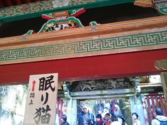 ���ʂ��猩��ƐQ�Ă���B�΂߉����猩��Ɨ����オ���Ă���悤�Ɍ����܂��B_���Ƌ{ �z����