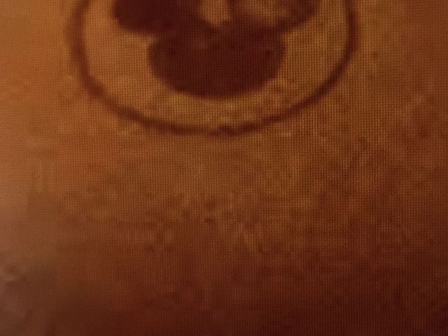 炵Ĉ󂪖ڈ_؏HgX