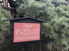 �߂̂�����̎O�S�N�̏��i�l���{�����뉀�j�ւ̓��e�ʐ^1