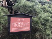 ߂̂̎OSN̏il{뉀j̓eʐ^1