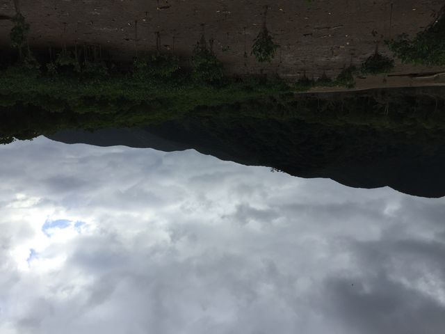 �}���O���[�u������_�}���O���[�u�J�k�[�c�[�����O