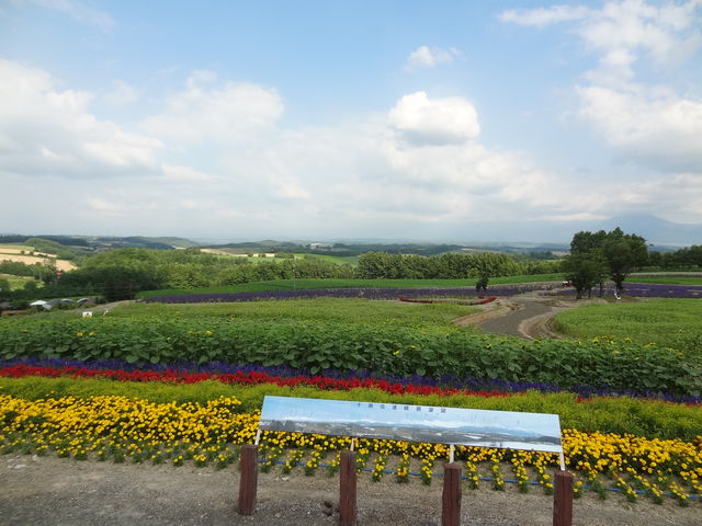 �i�F_�[�R���W�]��