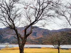 Happy����̏��C�����ւ̓��e�ʐ^1