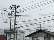 �A�L������̋����i �g����̓��e�ʐ^1