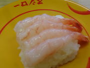 ǂ̃XV[ 쐼RX̓eʐ^1