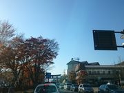 ΂Ȃ䂫䂫̒TX̓eʐ^2