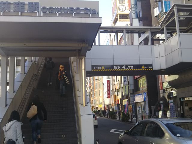 J[nEXCoCoԉEwX̍Ŋw͑ewԂ̉Ew̓B_J[nEXCoCoԉEwX