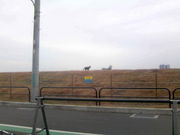 �ӂ������񂳂��CHICHICAFE�̓��e�ʐ^3