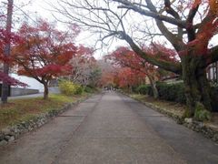 ͓dԂŃS[̍X_Ђւ̓eʐ^2