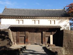 ڂ肳̐Vc\E̊ۋEւ̓eʐ^1