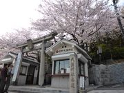 sup7xx00̖kV_Ђ̓eʐ^1