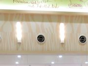 肷̒zn₾ AIVX̓eʐ^1