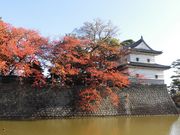 ڂ肳̐Vc\E̊ۋE̓eʐ^4