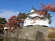 ڂ肳̐Vc\E̊ۋE̓eʐ^6