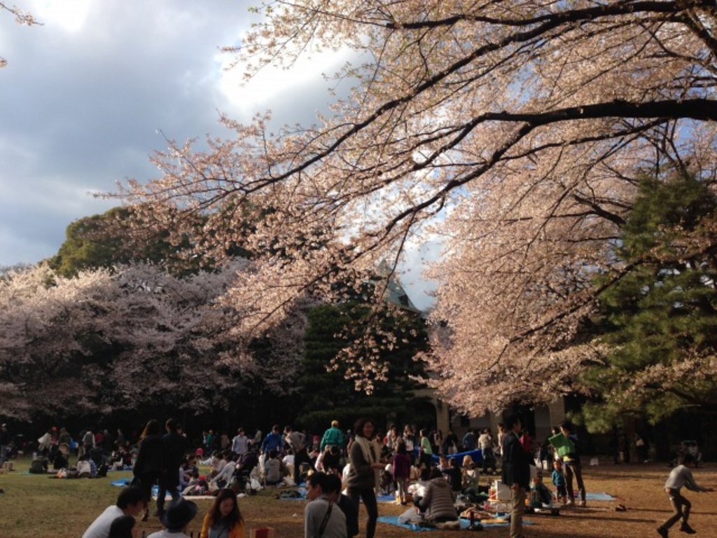 駒場公園 アクセス 営業時間 料金情報 じゃらんnet