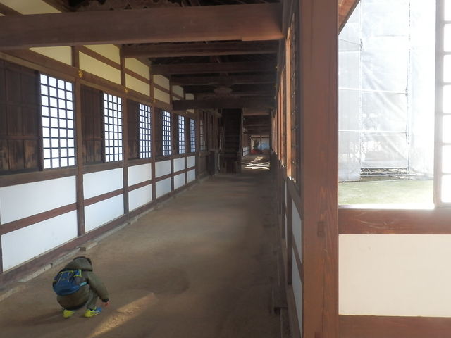 �L��_������