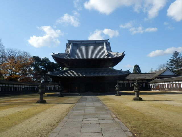 ����_������