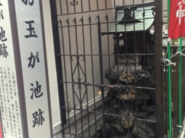 �������Ȃ���A��������܂��B_���ʃP�r��