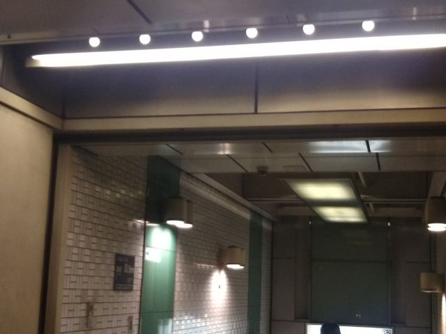 ₫Ƃ蓹ꐴ͓X̍Ŋw͓g͉wA3o炷B_₫Ƃ蓹 ͓X