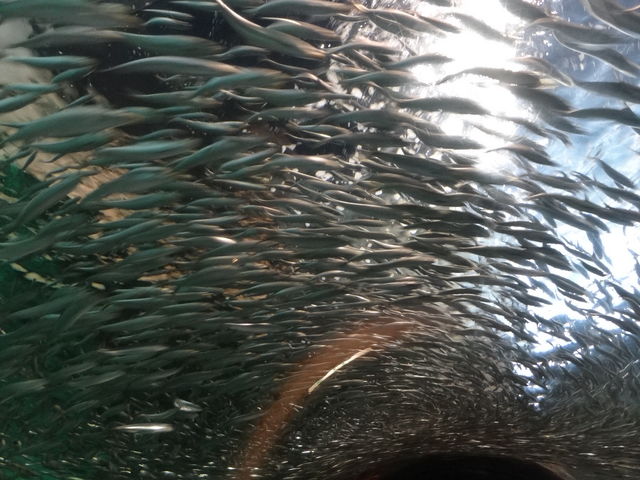 ���֎s�������̂��������فE�C����