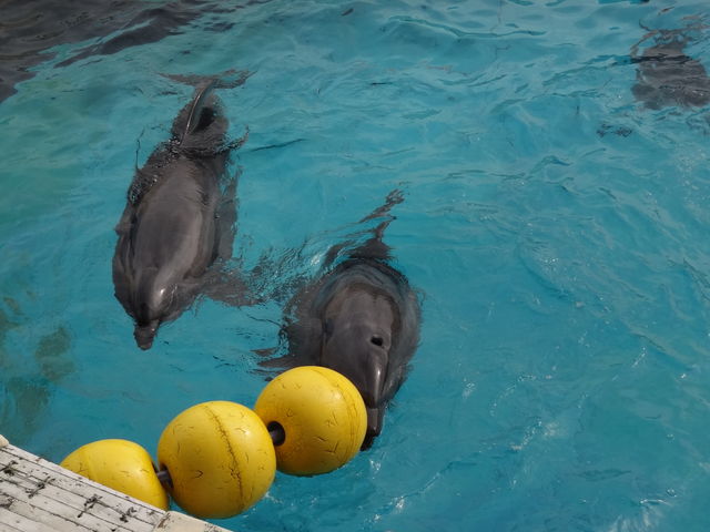 ���֎s�������̂��������فE�C����