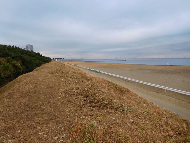 �C�l�����̊C�݁A������������_���������C�l����