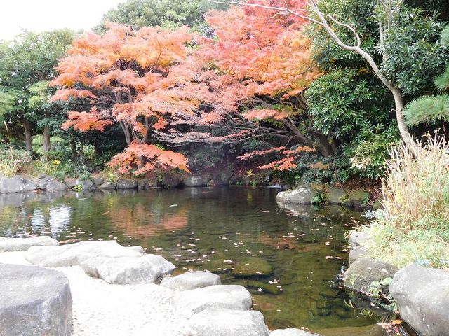 ���{�뉀�@���l���́v�g�t_���������C�l����