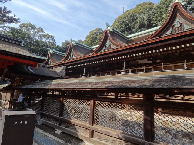 �Z�g�_�Ж{�a