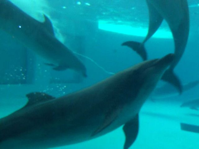 ���֎s�������̂��������فE�C����