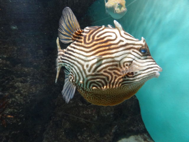 ���֎s�������̂��������فE�C����