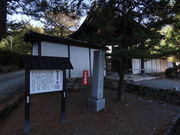 ���܂�����̓��t���R��̓��e�ʐ^1