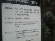 ���Ƃ��񂳂�̐[�厛���Ԋق̓��e�ʐ^1