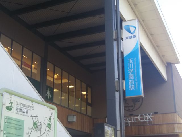 t@CGXe[g̍Ŋw͏c}dSc̋ʐwOw̓炷B_t@CGXe[g