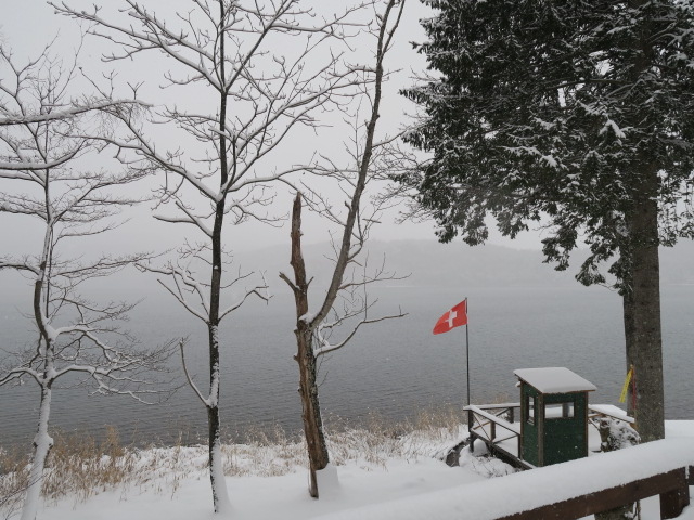 ����͓V�󂪈����c�O�Ȍi�F_�咬�s�،�