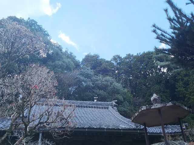 大野寺｜奈良県観光[公式サイト] あをによし なら旅ネット｜宇陀