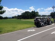 }[̔i΃[NTChStR[X̓eʐ^1