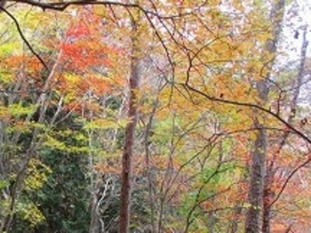 ANZ[JC̑R̍gt̓eʐ^1