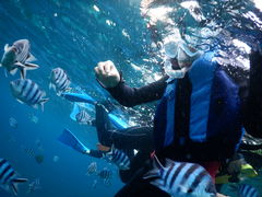 AbKC񂳂̃}T[rXނʁ[ւ̓eʐ^1