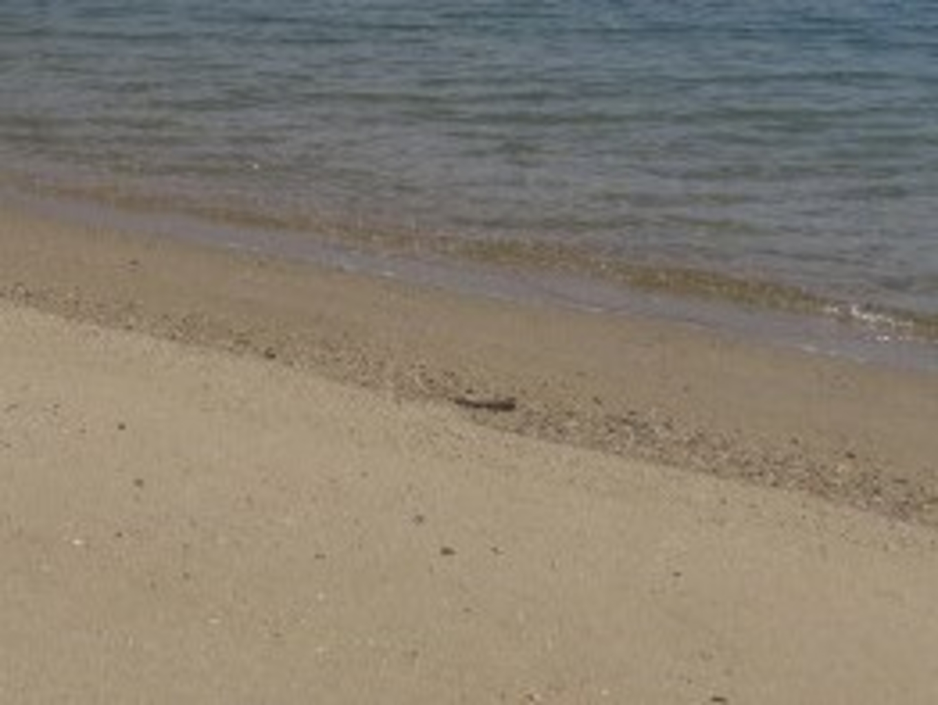 香川のビーチ 海水浴場ランキングtop10 じゃらんnet