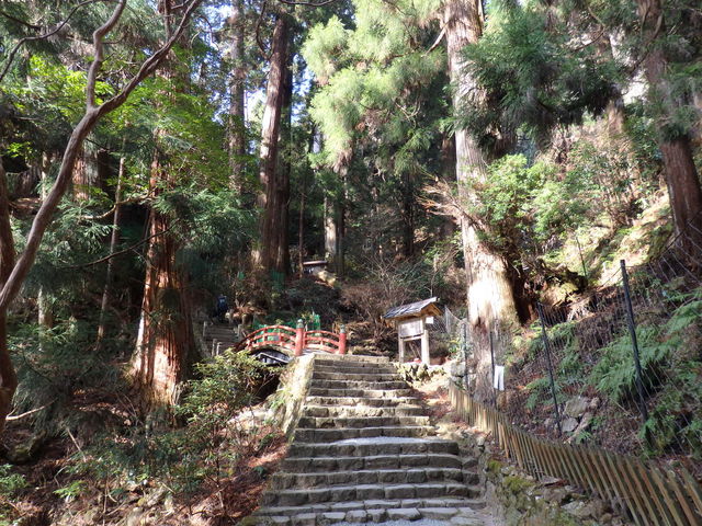 ���悢�扜�̉@�֎Q�q_��ʍ��c�@�l�ޗǌ��r�W�^�[�Y�r���[���[