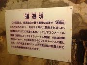 ނ̓VBR[XinRj̓eʐ^2