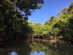 鑾ỸtB[hlC`[Ί_ւ̓eʐ^1